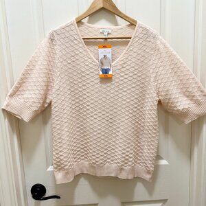 Ella Moss Women's Pullover Knit Top Size XXL Cream Lightweight Sweater (NEW)